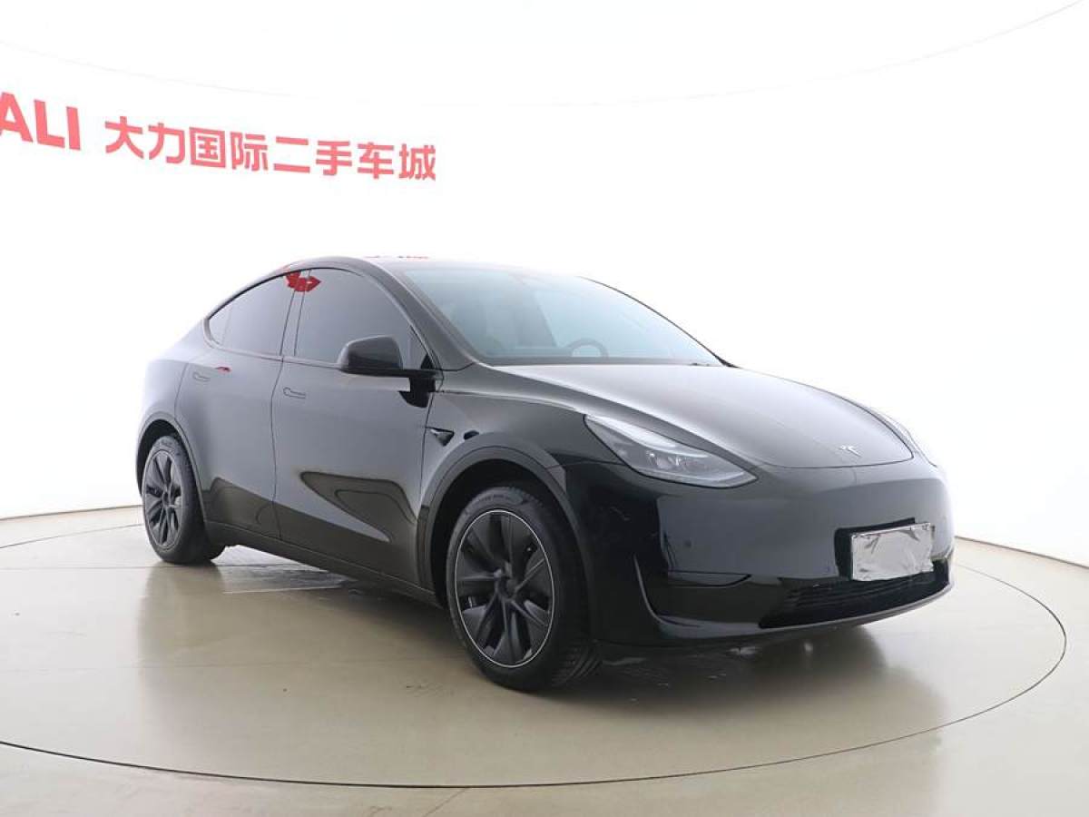 特斯拉 Model 3  2022款 后輪驅(qū)動版圖片