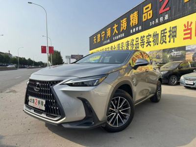 2022年1月 雷克薩斯 NX 260 前驅(qū) 創(chuàng)馳版圖片