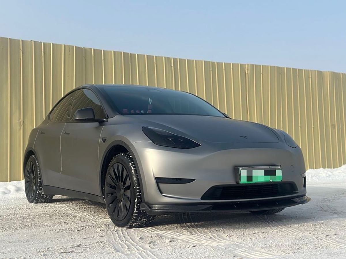 特斯拉 Model 3  2020款 改款 長(zhǎng)續(xù)航后輪驅(qū)動(dòng)版圖片