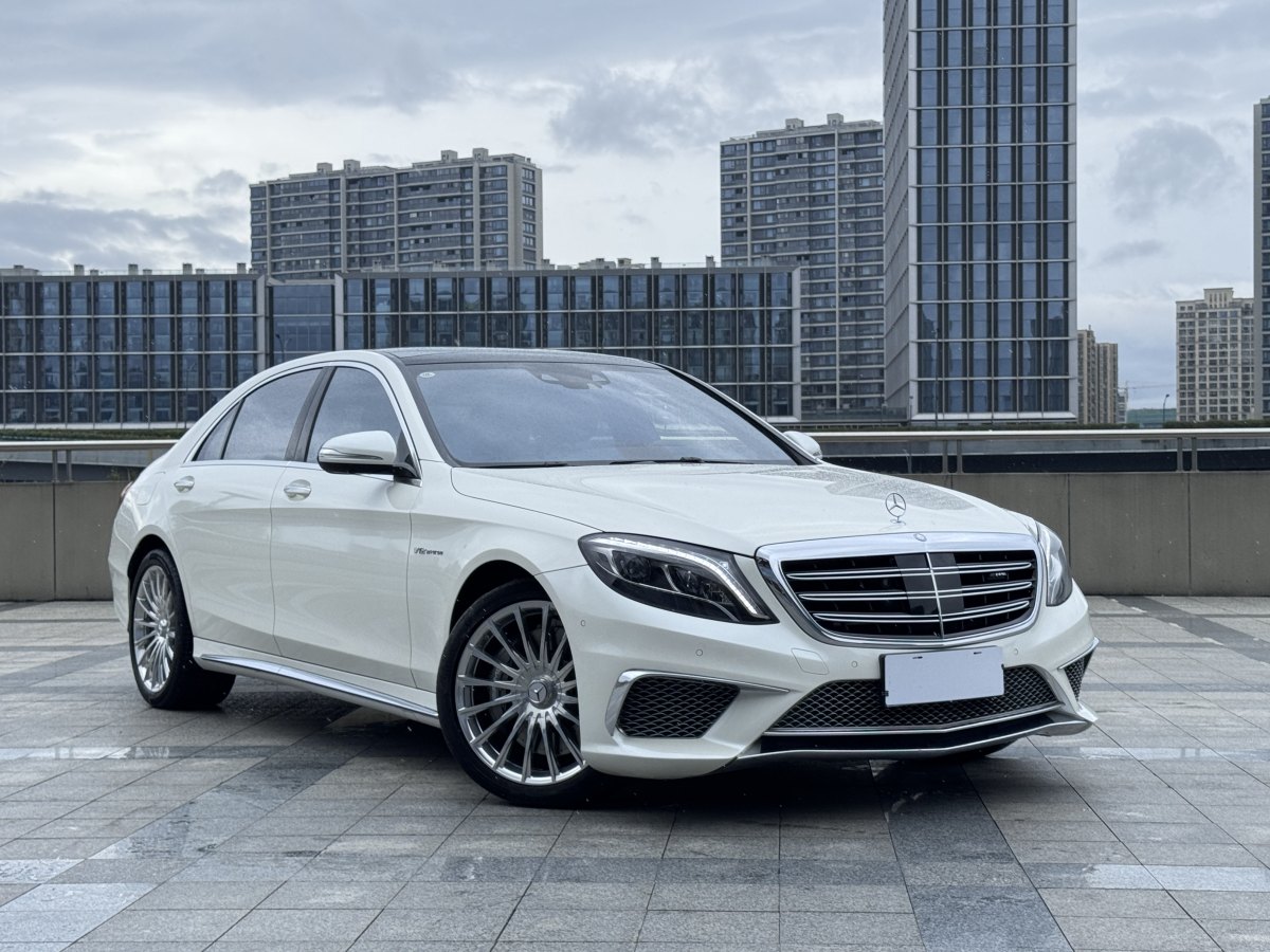 奔馳 奔馳S級(jí)AMG  2014款 AMG S 65 L圖片