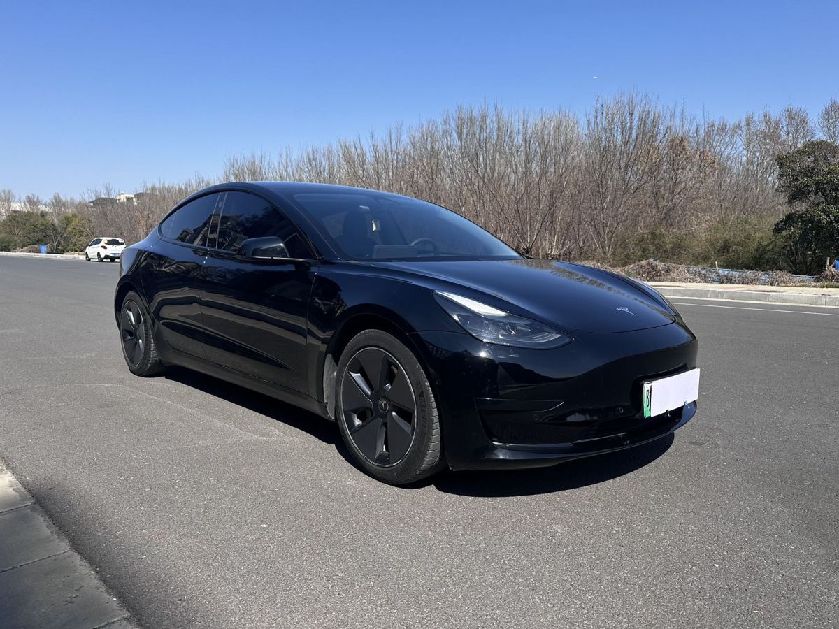 2021年3月特斯拉 Model 3  2019款 標(biāo)準(zhǔn)續(xù)航后驅(qū)升級(jí)版