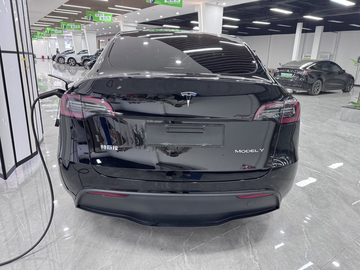 特斯拉 Model 3  2020款 改款 長續(xù)航后輪驅(qū)動版圖片