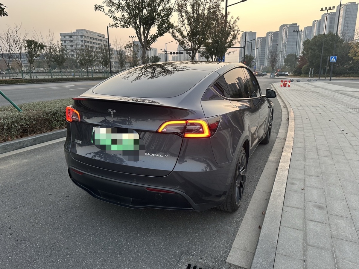 特斯拉 Model Y  2021款 改款 長續(xù)航全輪驅(qū)動版圖片