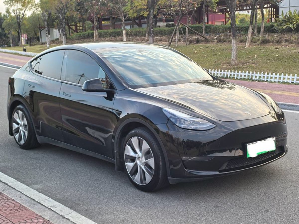 特斯拉 Model 3  2021款 改款 標(biāo)準(zhǔn)續(xù)航后驅(qū)升級(jí)版圖片