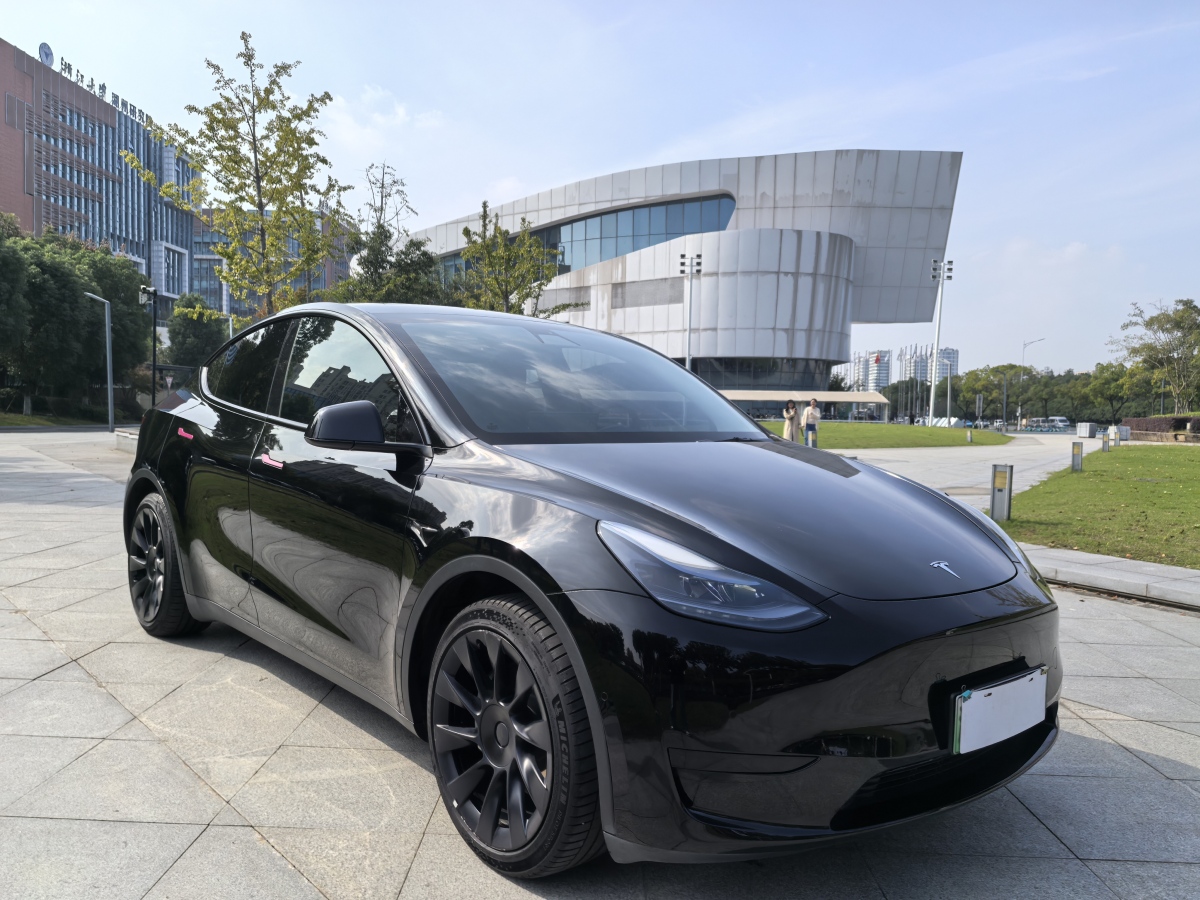 2023年6月特斯拉 Model Y  2022款 后輪驅(qū)動(dòng)版