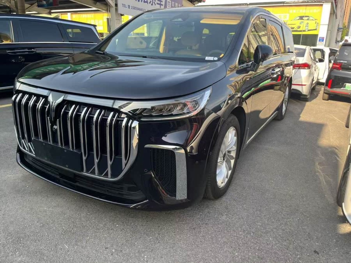 嵐圖 夢想家  2024款 PHEV 超長續(xù)航尊貴版圖片