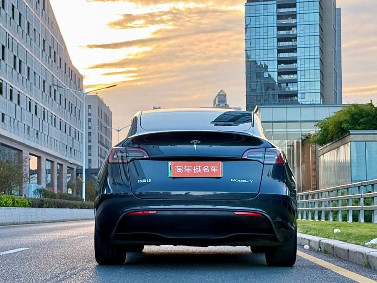 特斯拉 Model Y  2020款 改款 長(zhǎng)續(xù)航后輪驅(qū)動(dòng)版圖片