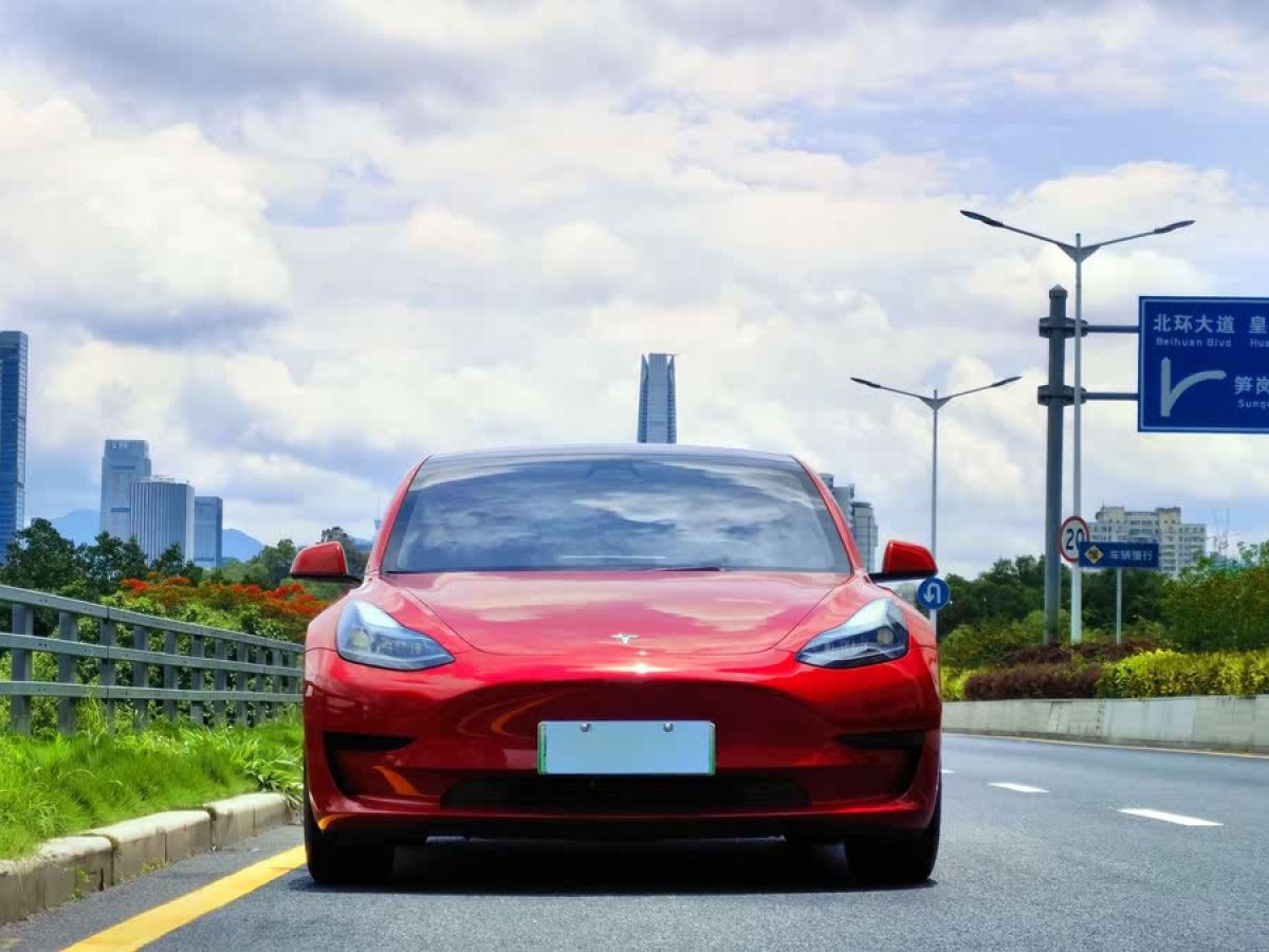 特斯拉 Model 3  2021款 標(biāo)準(zhǔn)續(xù)航后驅(qū)升級(jí)版 3D6圖片