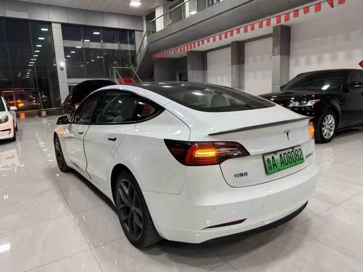 特斯拉 Model S  2021款 Performance 高性能版圖片