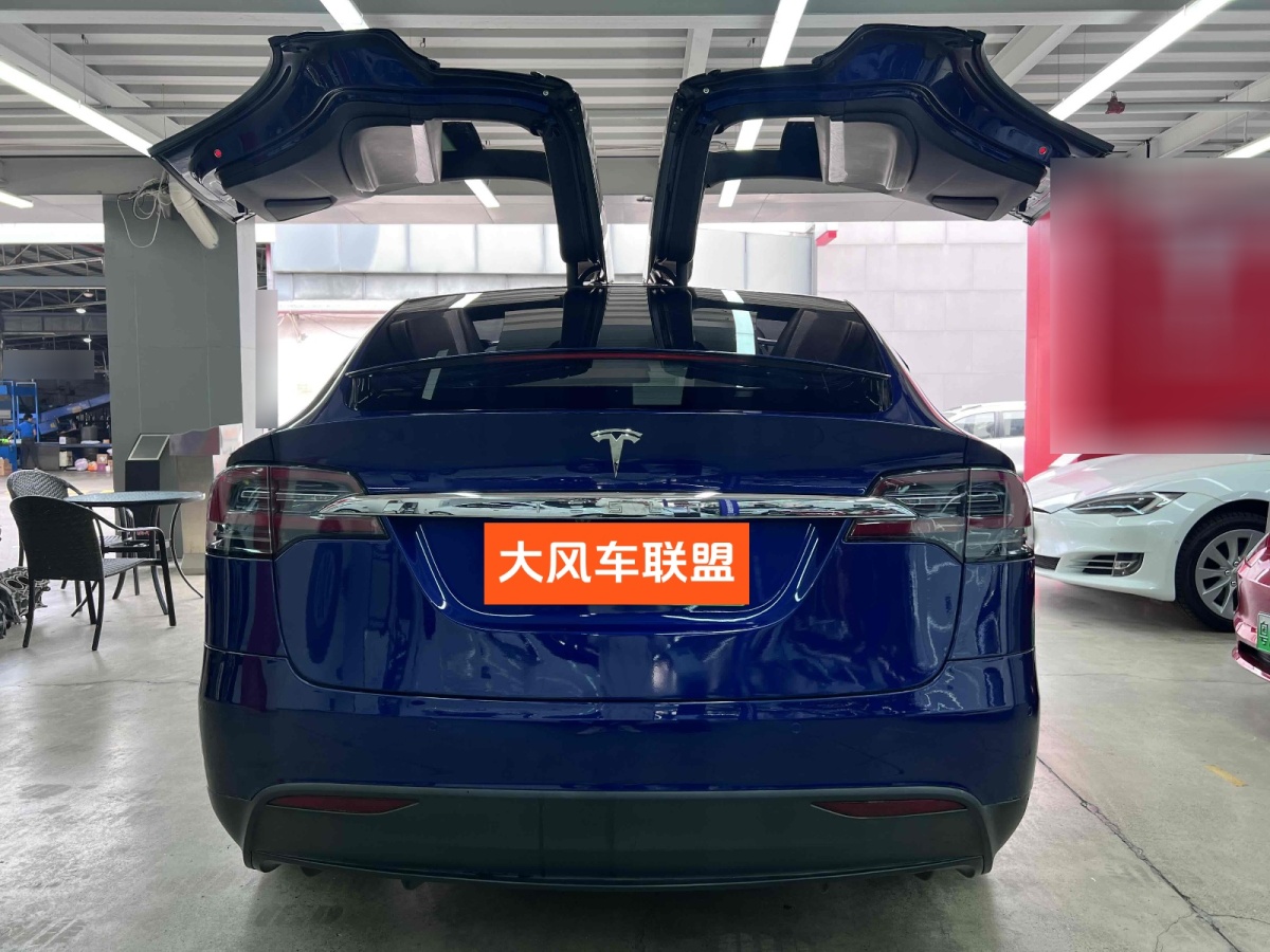 特斯拉 Model X  2019款 長續(xù)航版圖片