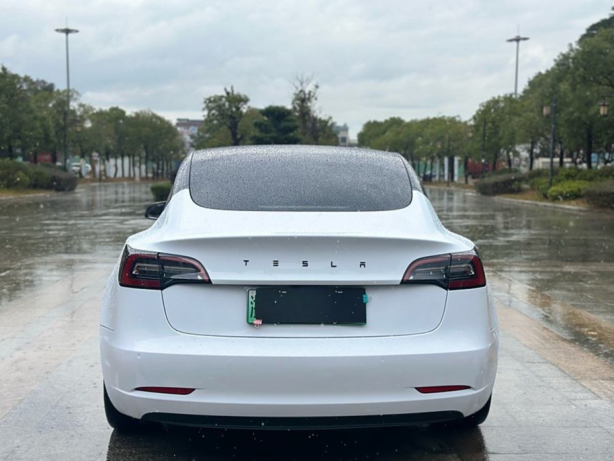 特斯拉 Model 3  2021款 標準續(xù)航后驅升級版 3D6圖片