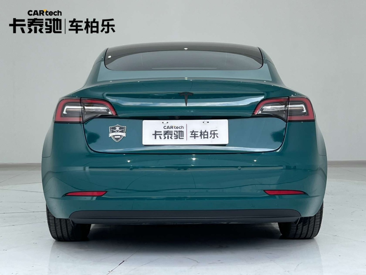 2022年01月特斯拉 Model 3  2022款 改款 后輪驅(qū)動版