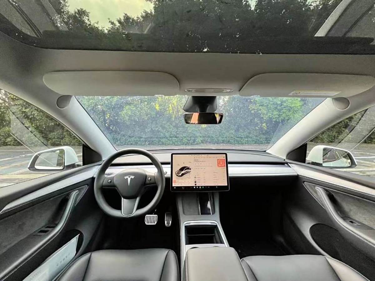 特斯拉 Model Y  2020款 改款 長(zhǎng)續(xù)航后輪驅(qū)動(dòng)版圖片