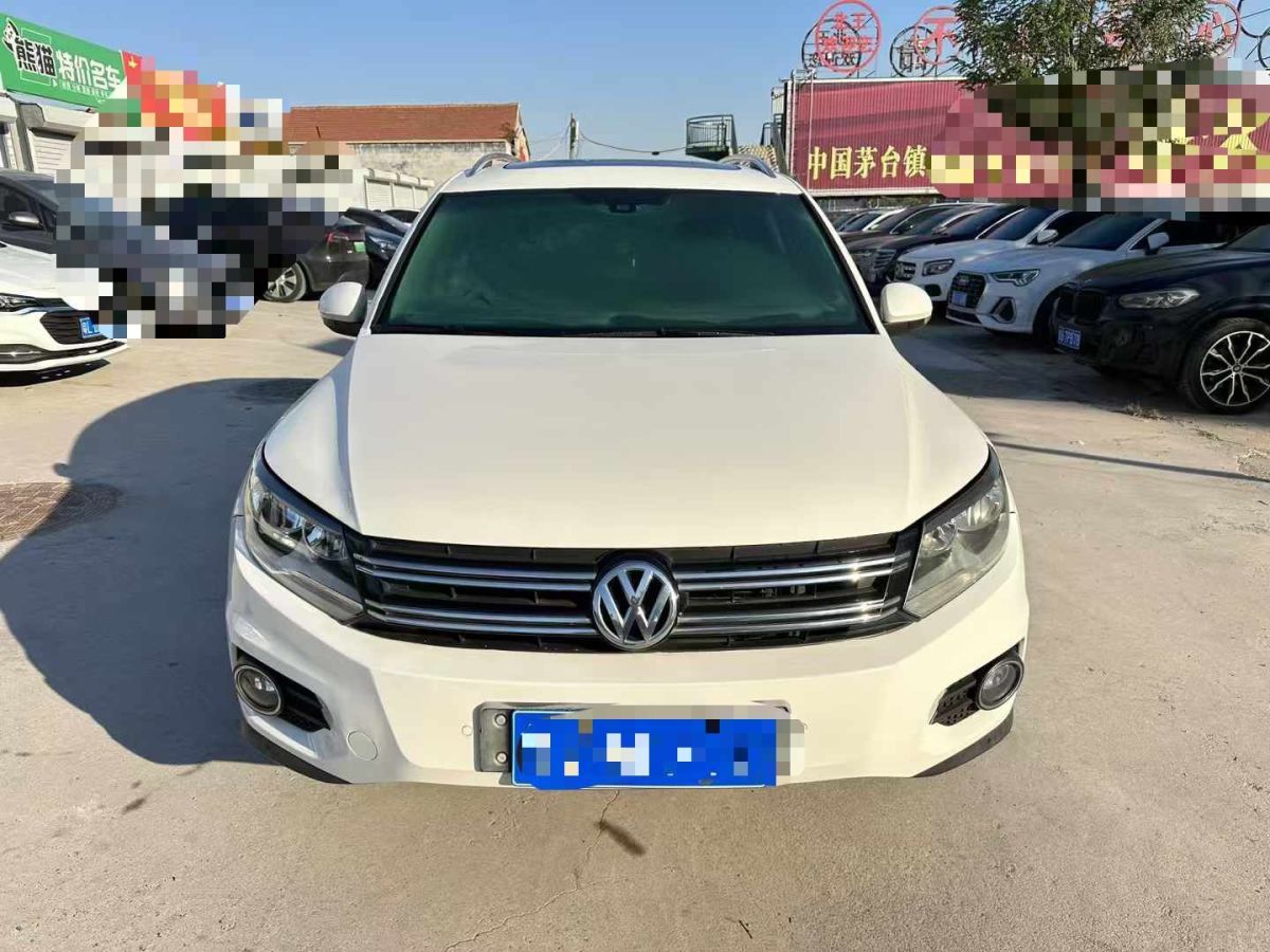 大眾 途歡  2012款 2.0 TDI 舒適版圖片