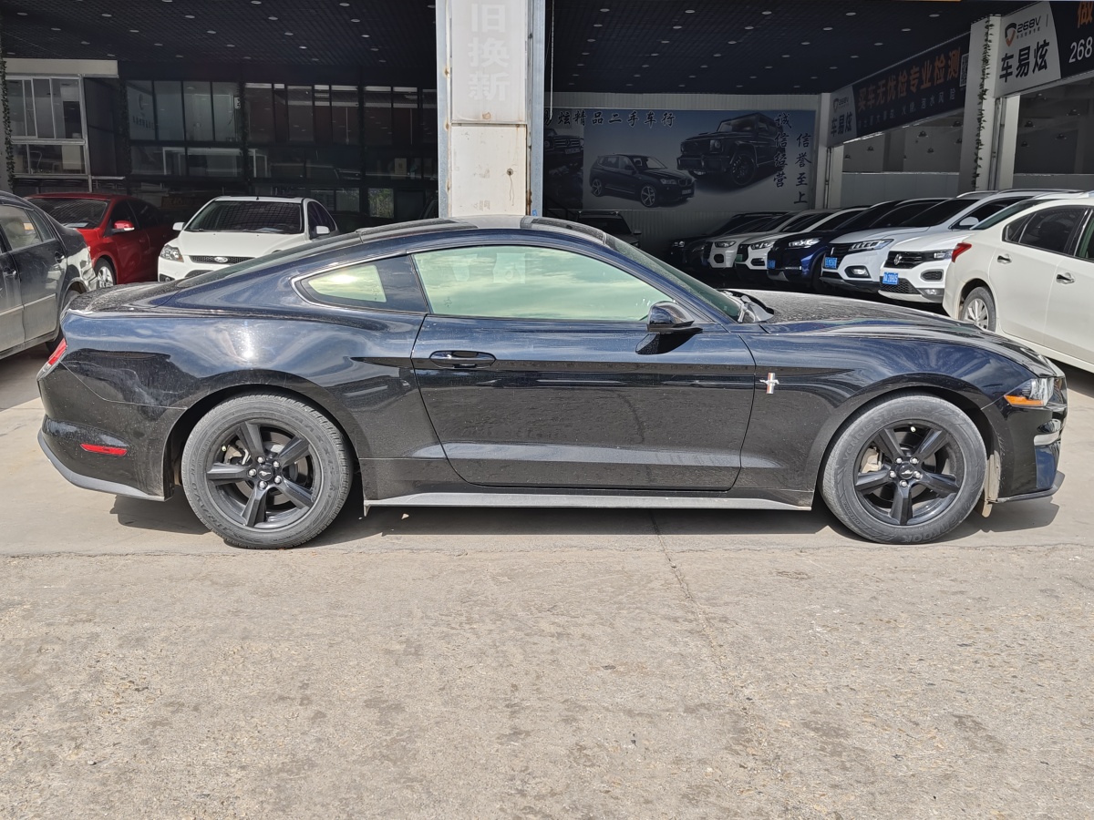福特 Mustang  2017款 2.3T 性能版圖片