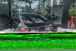 Z500EV 眾泰 EV 高配型