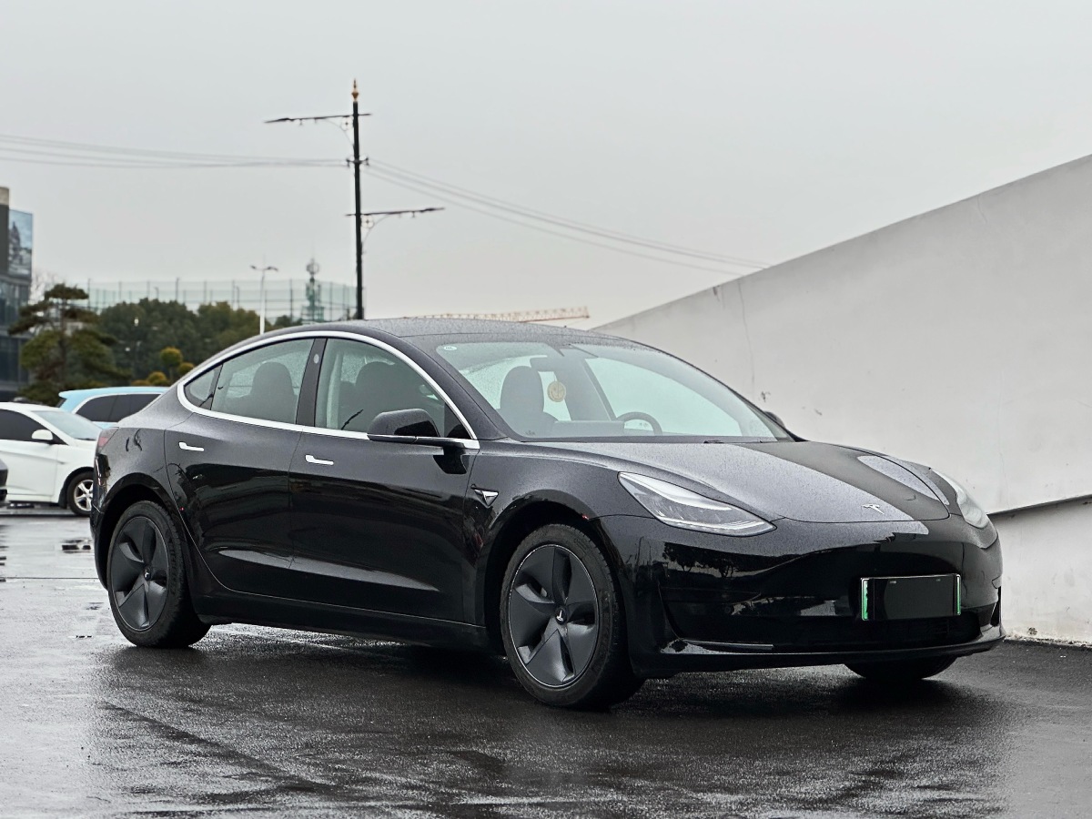 特斯拉 Model 3  2019款 標(biāo)準(zhǔn)續(xù)航后驅(qū)升級(jí)版圖片