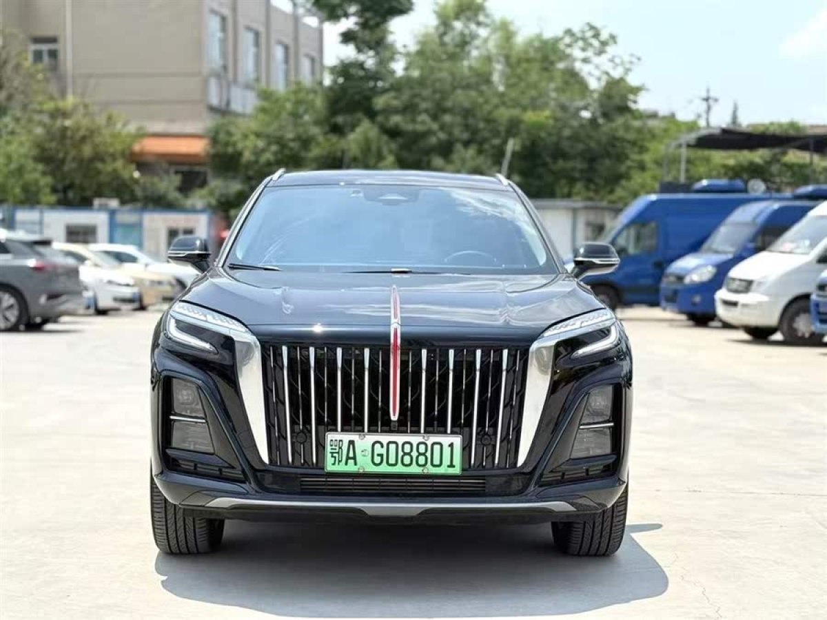 紅旗 紅旗HS3 PHEV  2024款 PHEV 115km 勁為版圖片