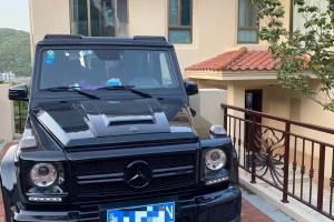 奔馳G級AMG 奔馳 AMG G 63 Edition 463