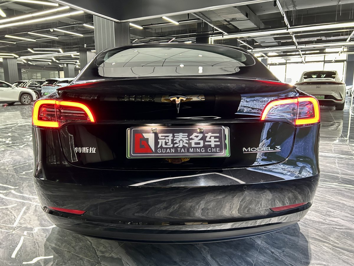 特斯拉 Model 3  2021款 Performance高性能全輪驅(qū)動版 3D6圖片