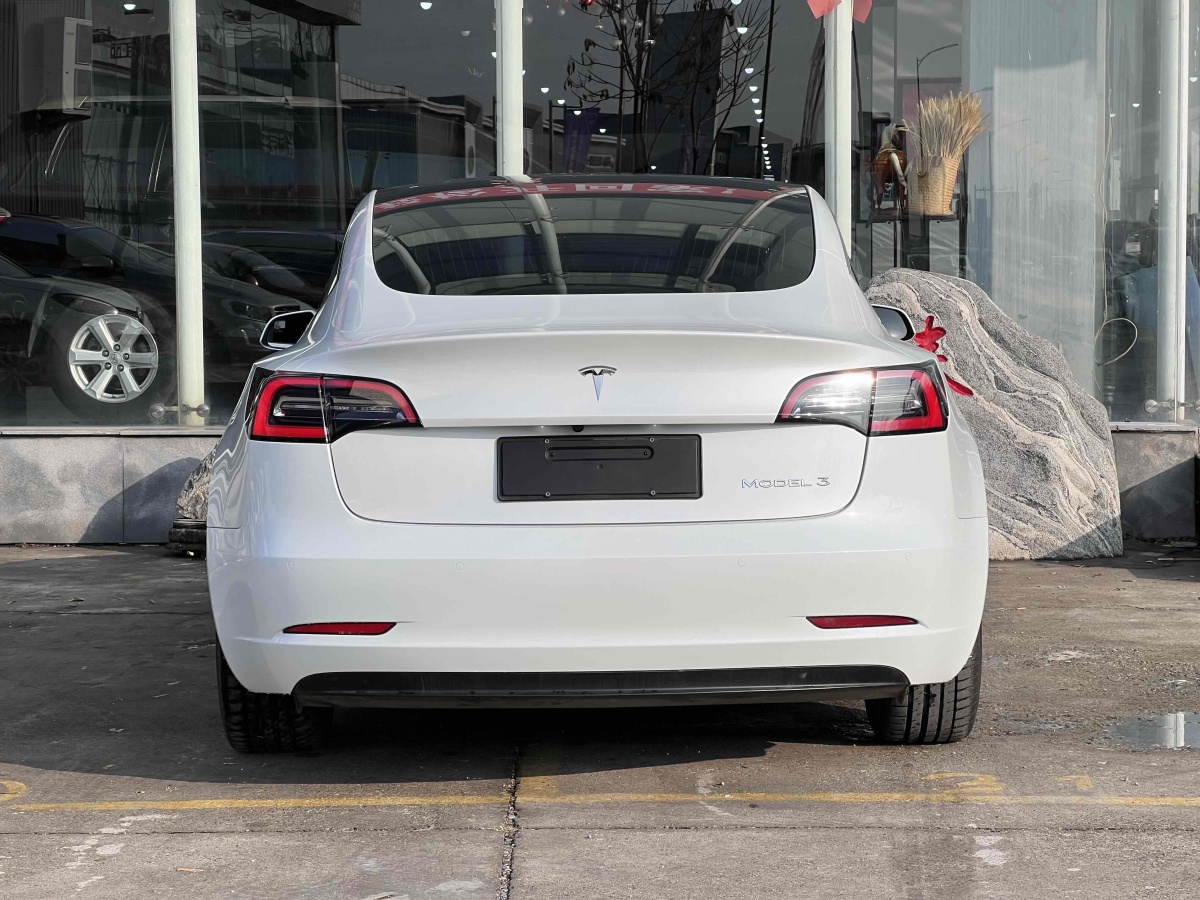 特斯拉 Model 3  2019款 標(biāo)準(zhǔn)續(xù)航后驅(qū)升級(jí)版圖片