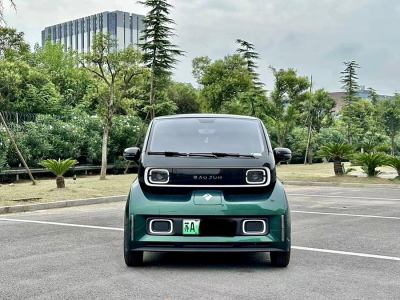 2022年4月 宝骏 宝骏KiWi EV 艺术家轻享版 三元锂图片