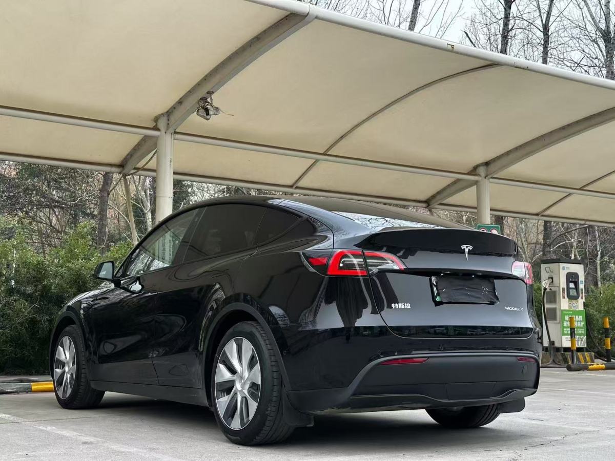 特斯拉 Model 3  2020款 改款 長續(xù)航后輪驅動版圖片