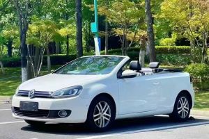 高尔夫 大众 2.0TSI GTI敞篷版