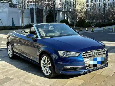 2017年3月 奧迪 奧迪A3(進(jìn)口) Cabriolet 40 TFSI圖片