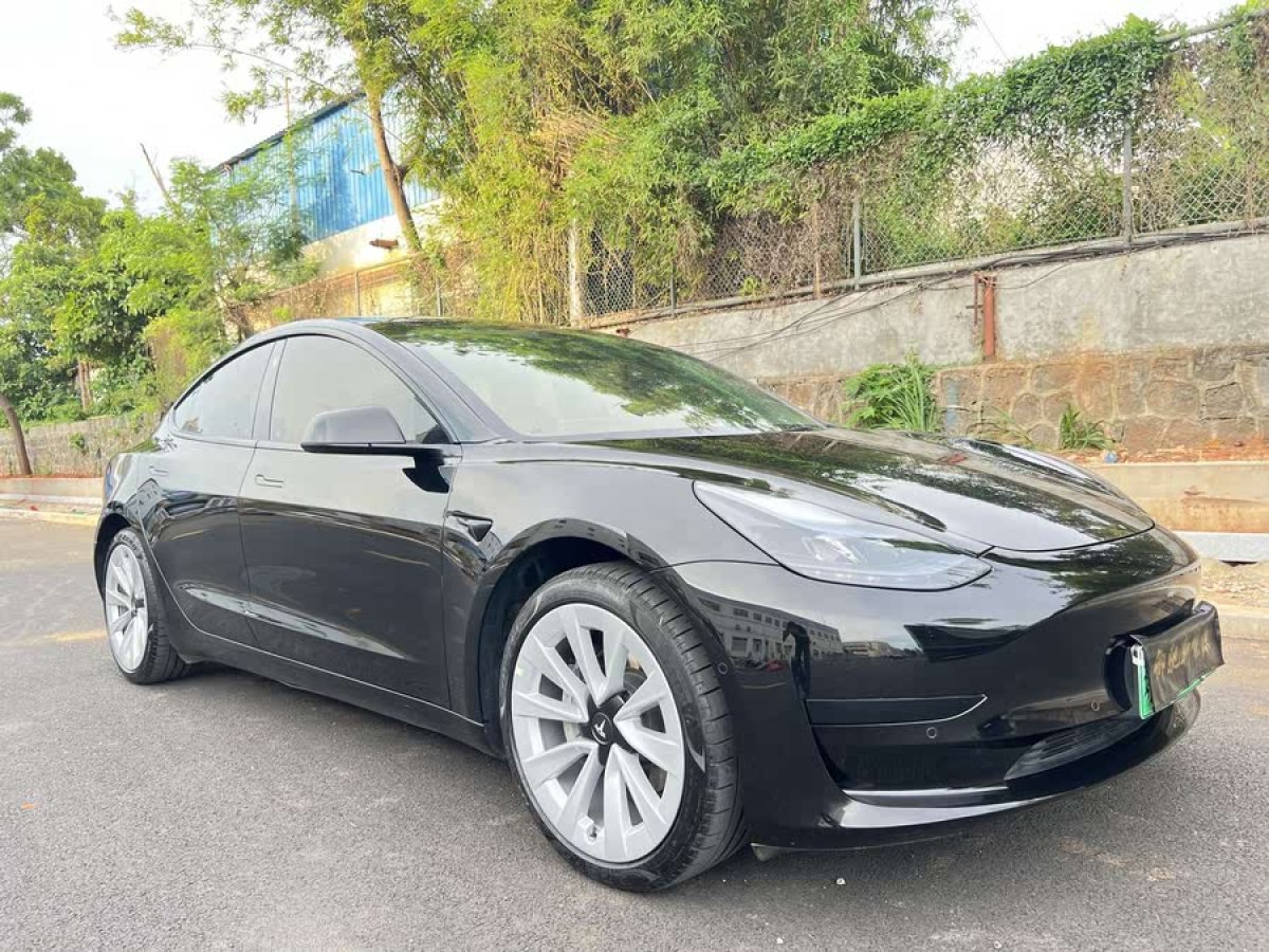 特斯拉 Model 3  2021款 標(biāo)準(zhǔn)續(xù)航后驅(qū)升級版 3D6圖片