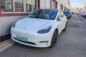 Model Y 特斯拉 改款 長(zhǎng)續(xù)航全輪驅(qū)動(dòng)版