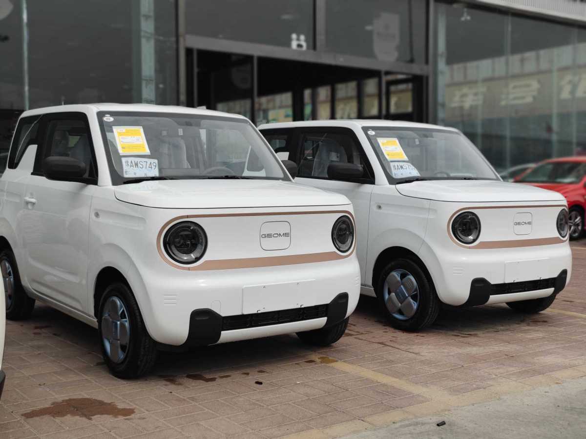 吉利 熊貓mini  2024款 熊貓mini 200km 龍騰版圖片