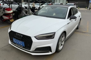 奧迪A5 奧迪 Sportback 40 TFSI 時(shí)尚型