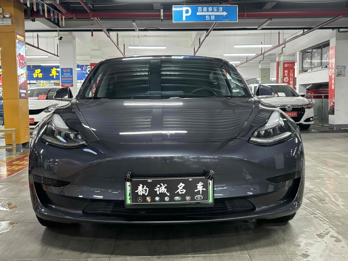 2020年2月特斯拉 Model 3  2019款 標準續(xù)航后驅升級版