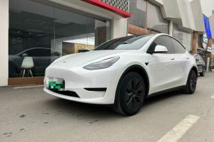 Model Y 特斯拉 Performance高性能版