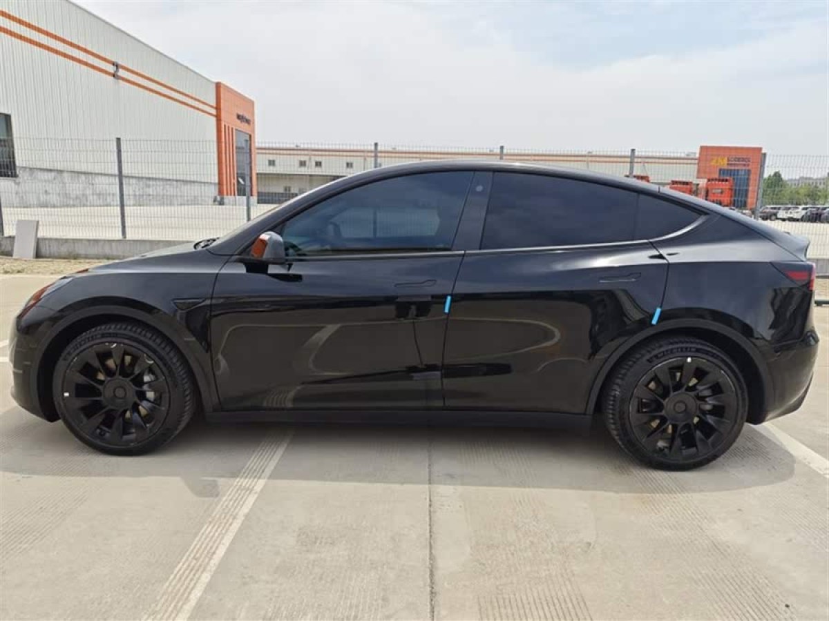 特斯拉 Model Y  2021款 標(biāo)準(zhǔn)續(xù)航后驅(qū)版圖片
