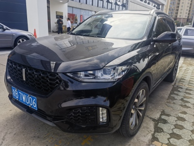 2019年5月 WEY VV6 2.0T 两驱超豪型图片