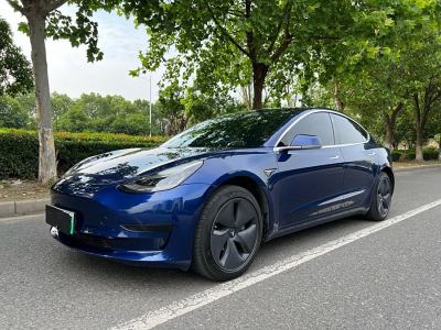 2020年3月 特斯拉 Model 3 標(biāo)準(zhǔn)續(xù)航后驅(qū)升級版圖片