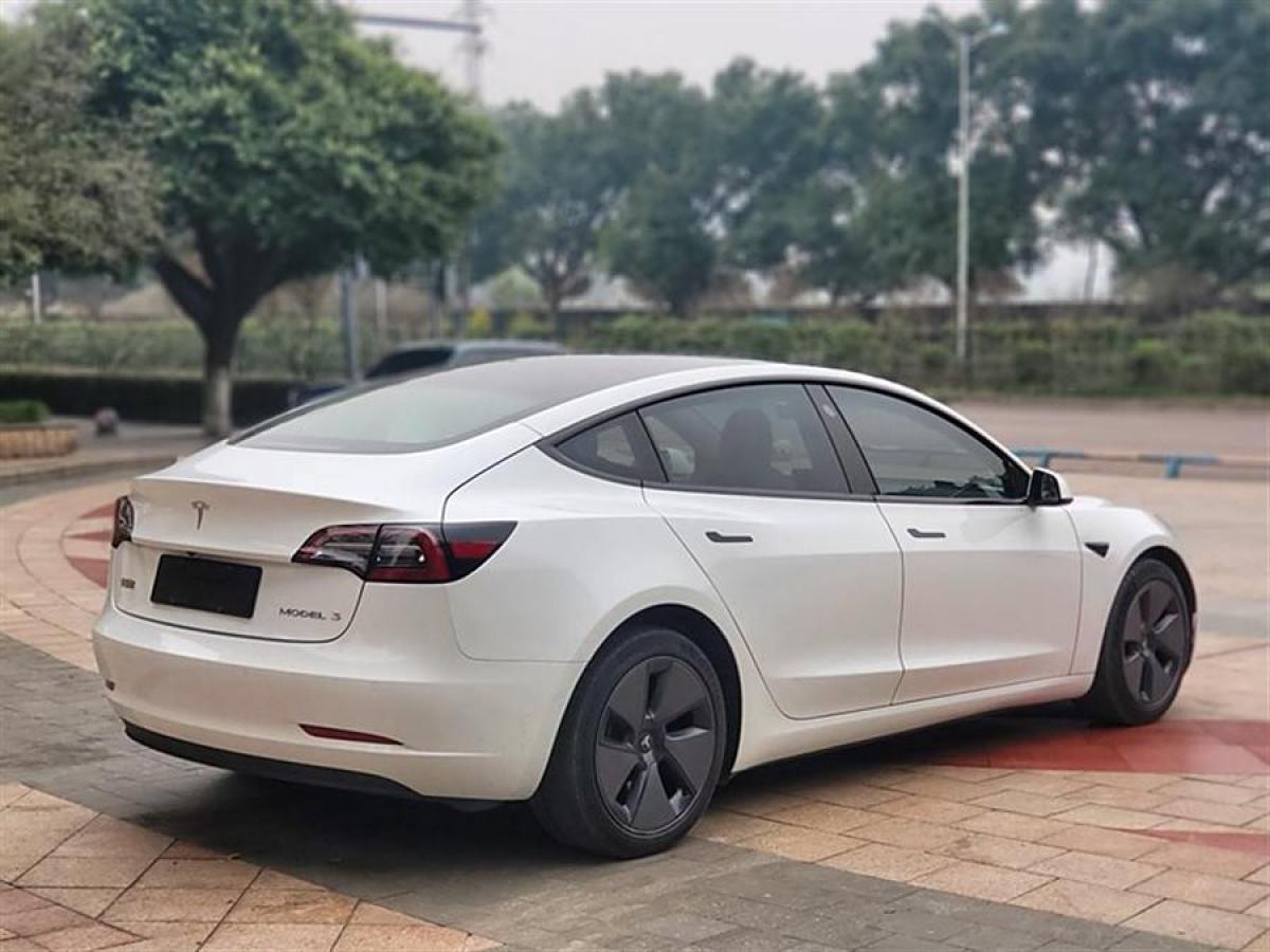 特斯拉 Model 3  2021款 改款 標(biāo)準(zhǔn)續(xù)航后驅(qū)升級(jí)版圖片