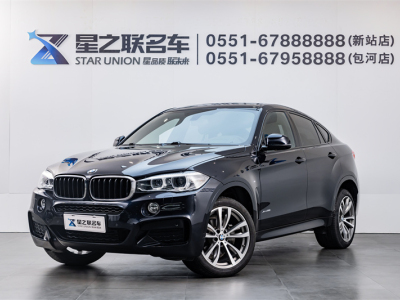 2019年5月 宝马 宝马X6(进口) xDrive28i M运动套装图片