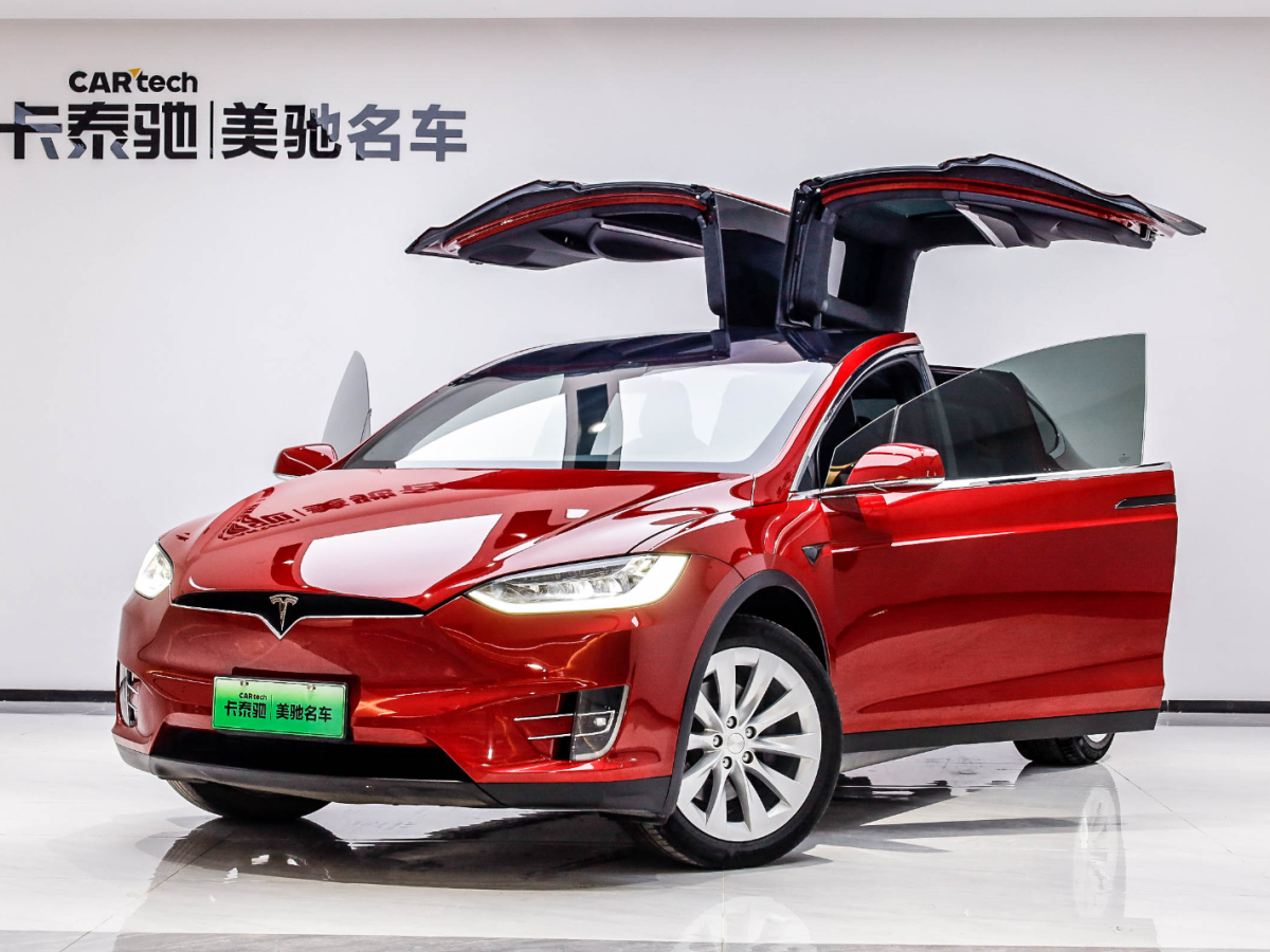 特斯拉 Model X 2019款 MODEL X 標(biāo)準(zhǔn)續(xù)航版圖片