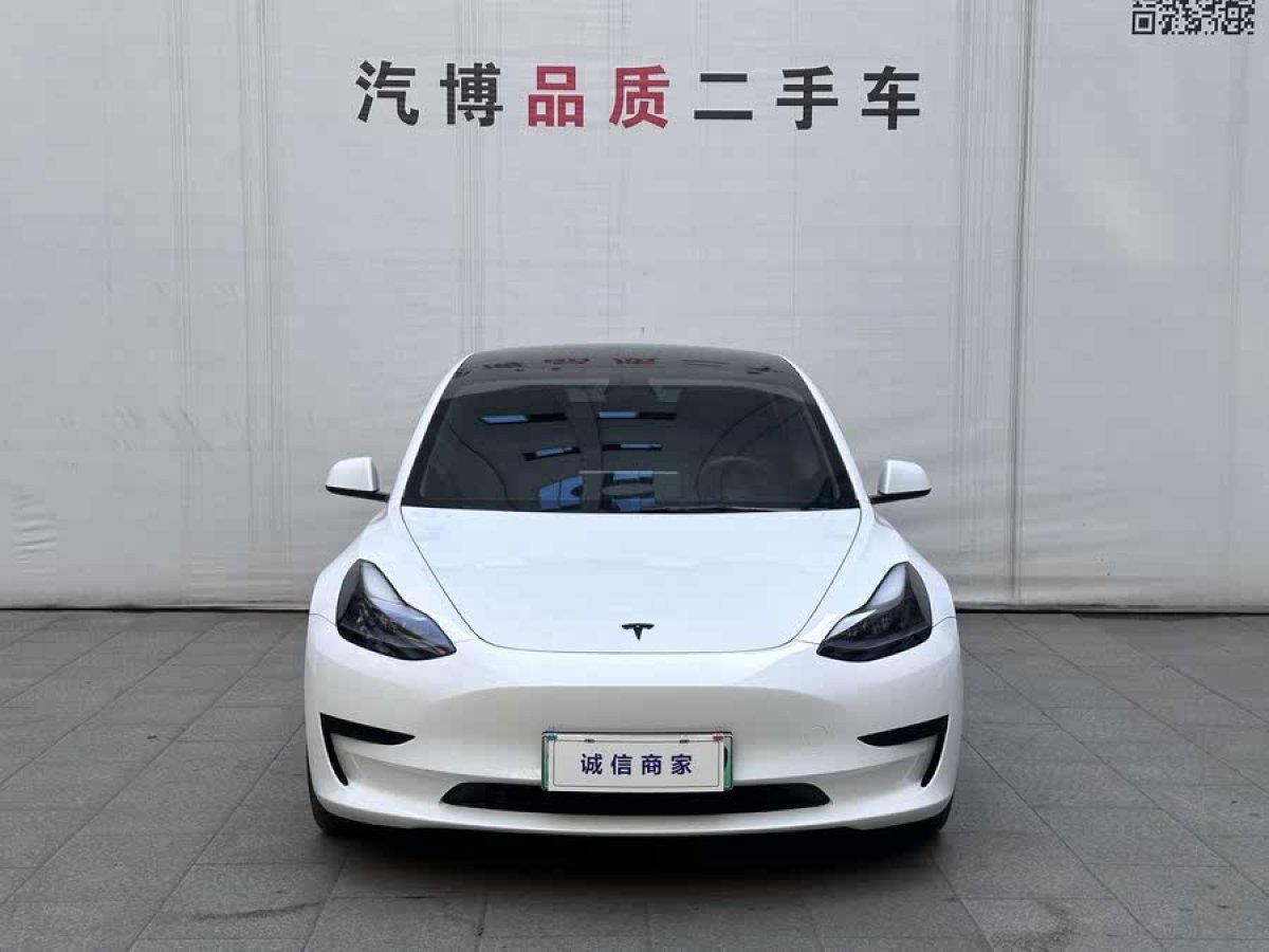 特斯拉 Model 3  2021款 改款 標(biāo)準(zhǔn)續(xù)航后驅(qū)升級(jí)版圖片