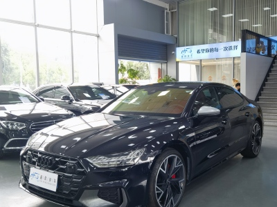 2024年11月 奧迪 奧迪A7L 45 TFSI quattro 黑武士版圖片