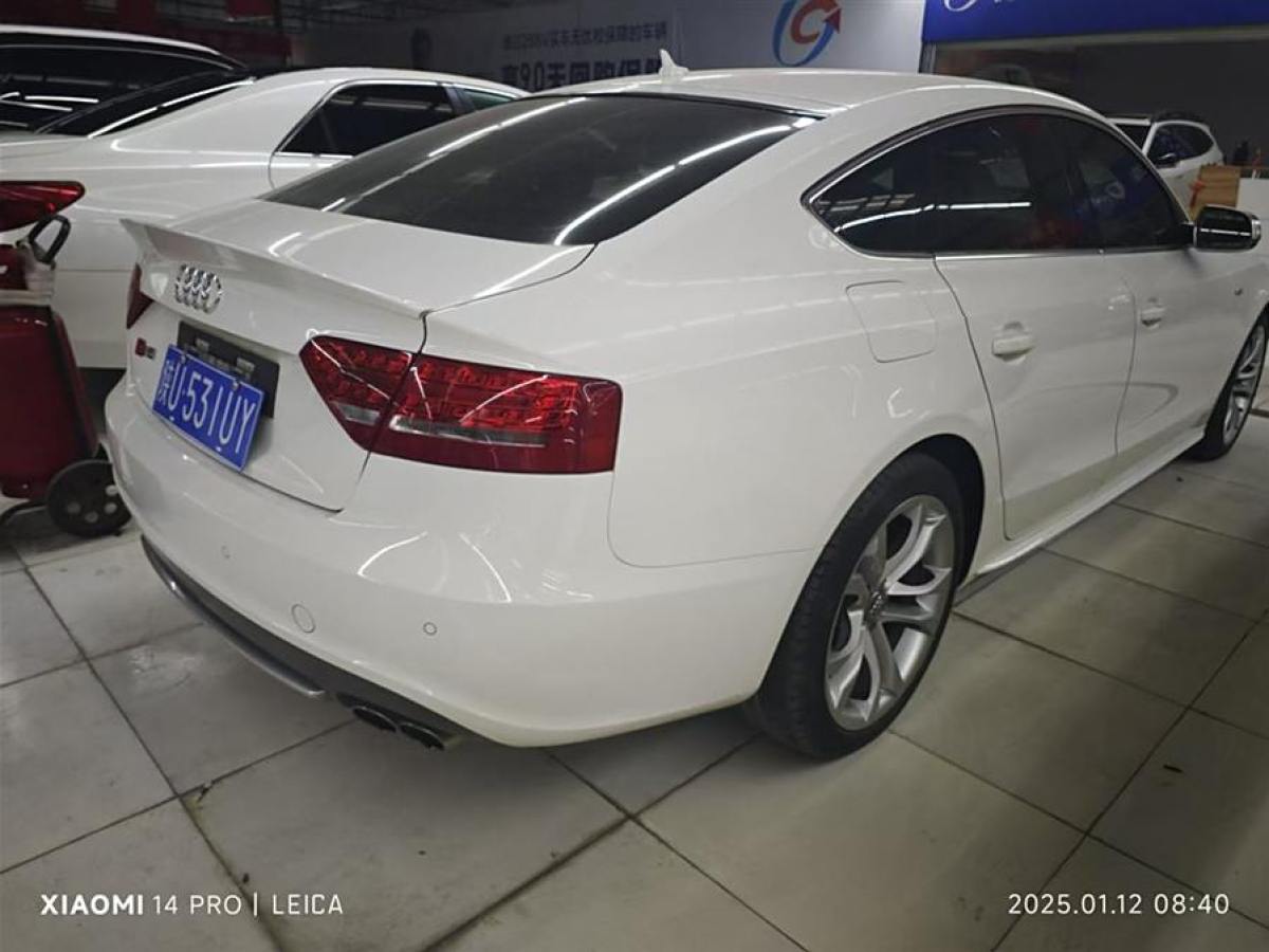 奧迪 奧迪S5  2010款 S5 3.0T Sportback圖片