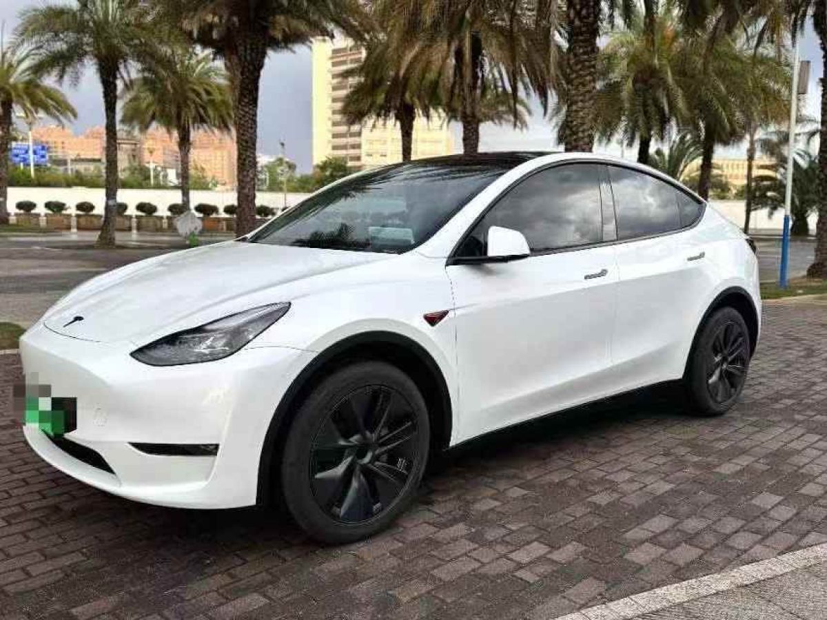 特斯拉 Model Y  2024款 Performance高性能版圖片