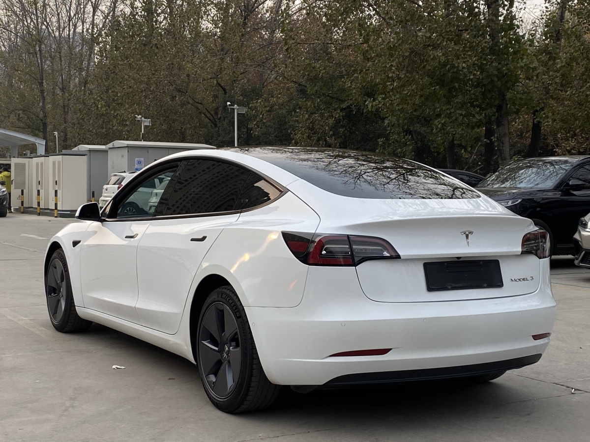 特斯拉 Model 3  2019款 標準續(xù)航后驅(qū)升級版圖片