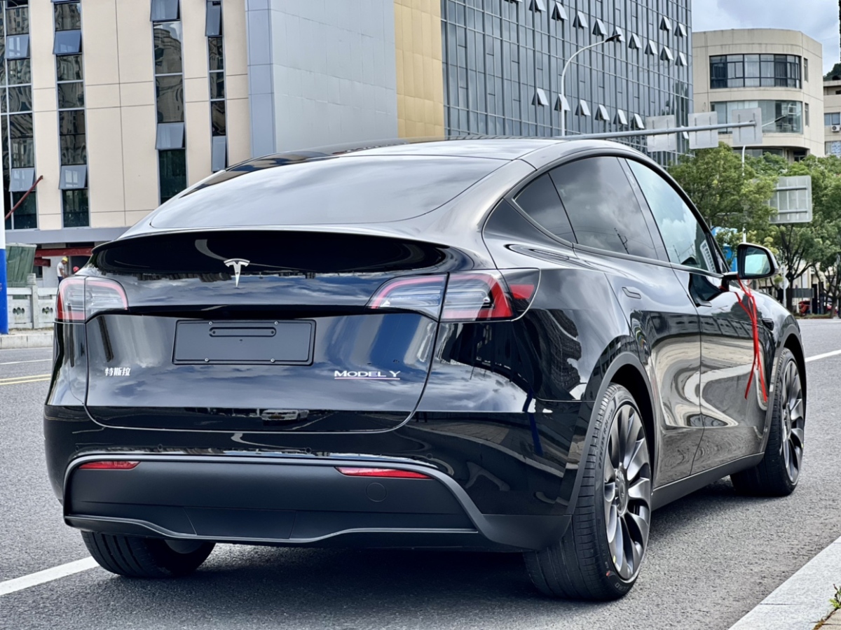 特斯拉 model y 2021款 performance高性能全輪驅動版圖片