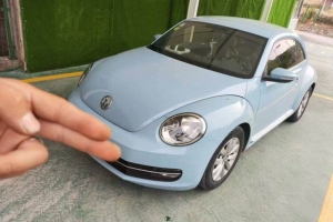 甲殼蟲(chóng) 大眾 180TSI