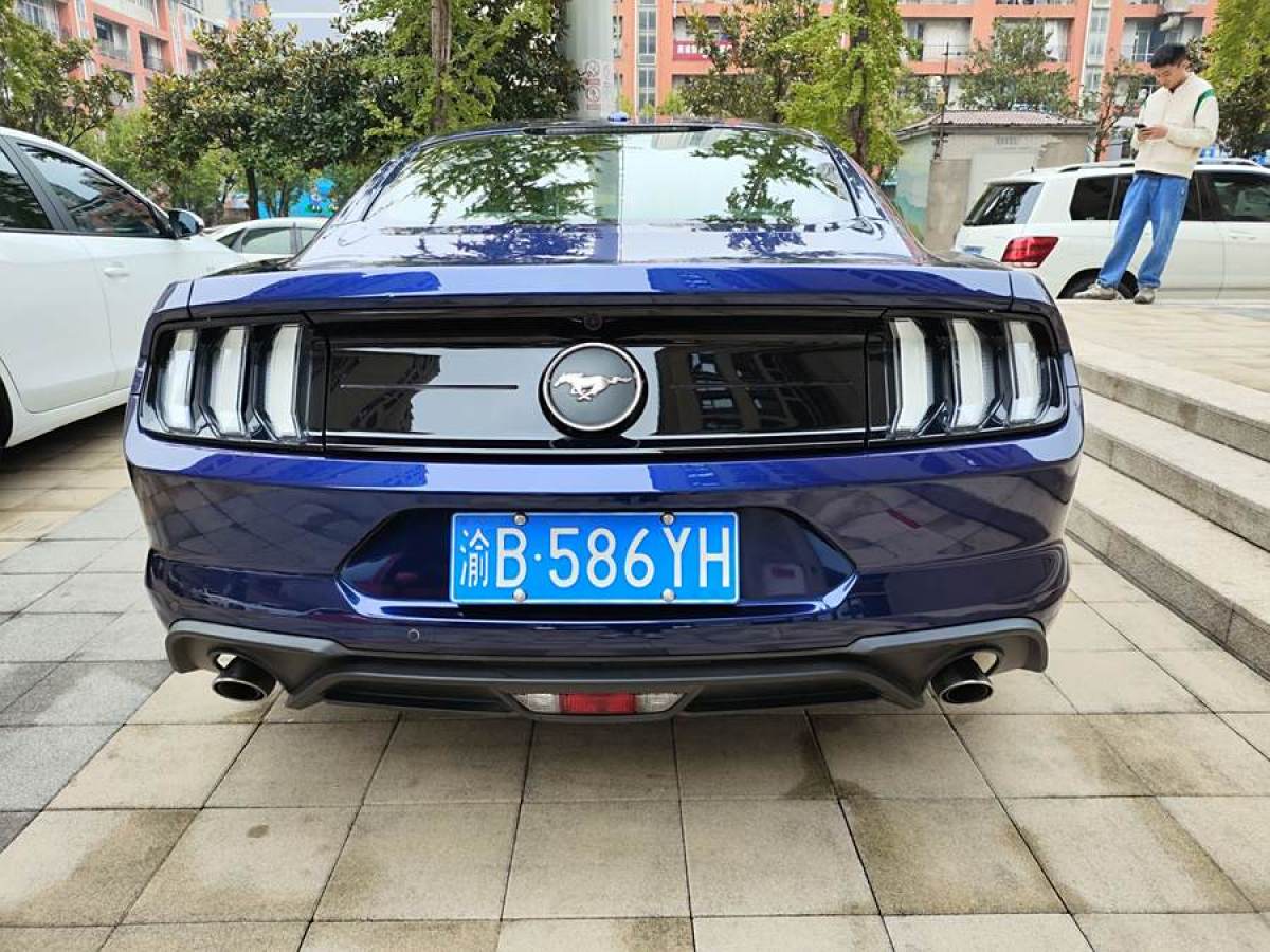 福特 Mustang  2020款 2.3L EcoBoost圖片