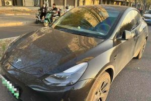 Model 3 特斯拉 Performance高性能版